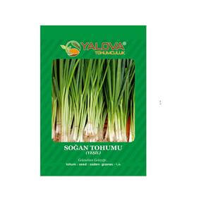 Yalova Yeşil Soğan Tohumu (BTK.01197)