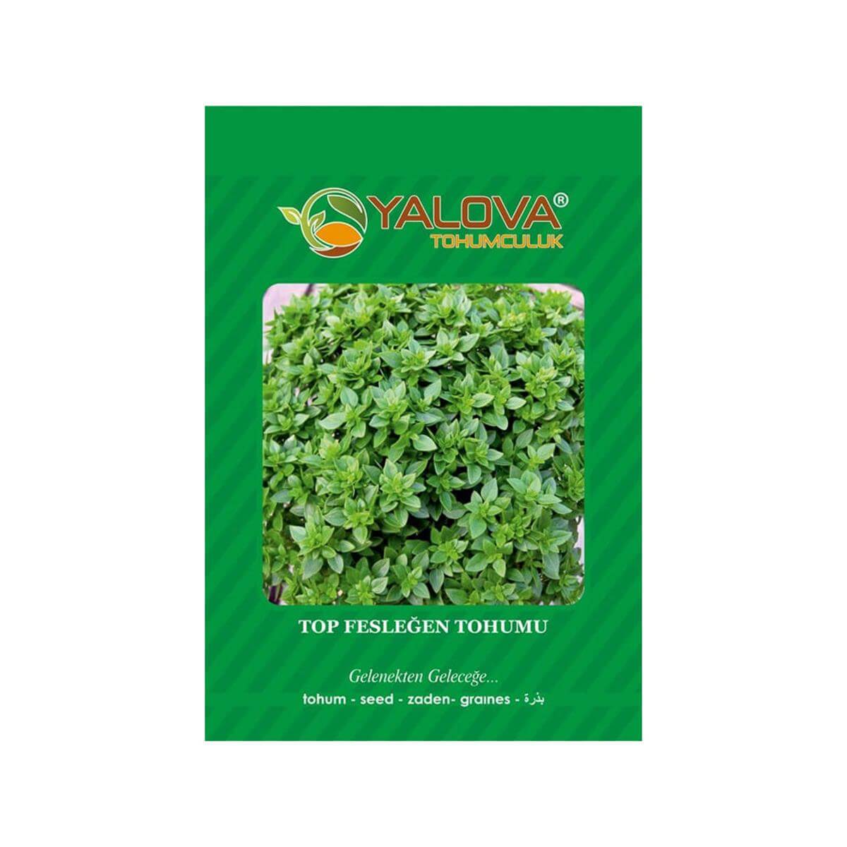 Yalova Top Fesleğen Tohumu (BTK.00039)