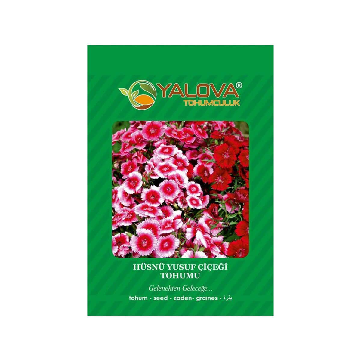 Yalova Hüsnü Çiçeği (BTK.00046)