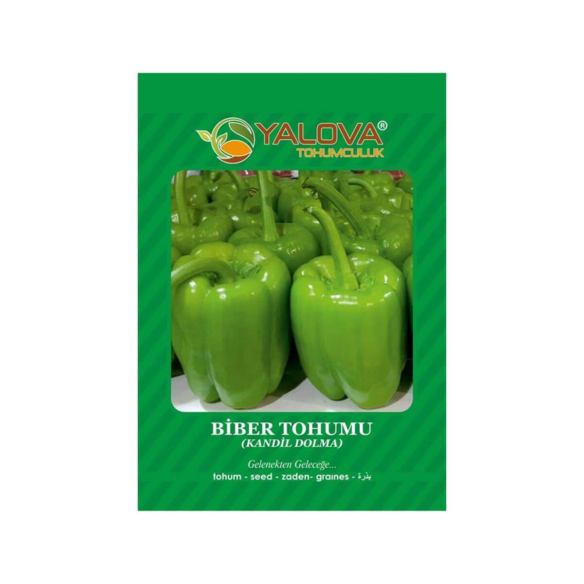 Yalova Dolmalık Biber Tohumu (BTK.00831)