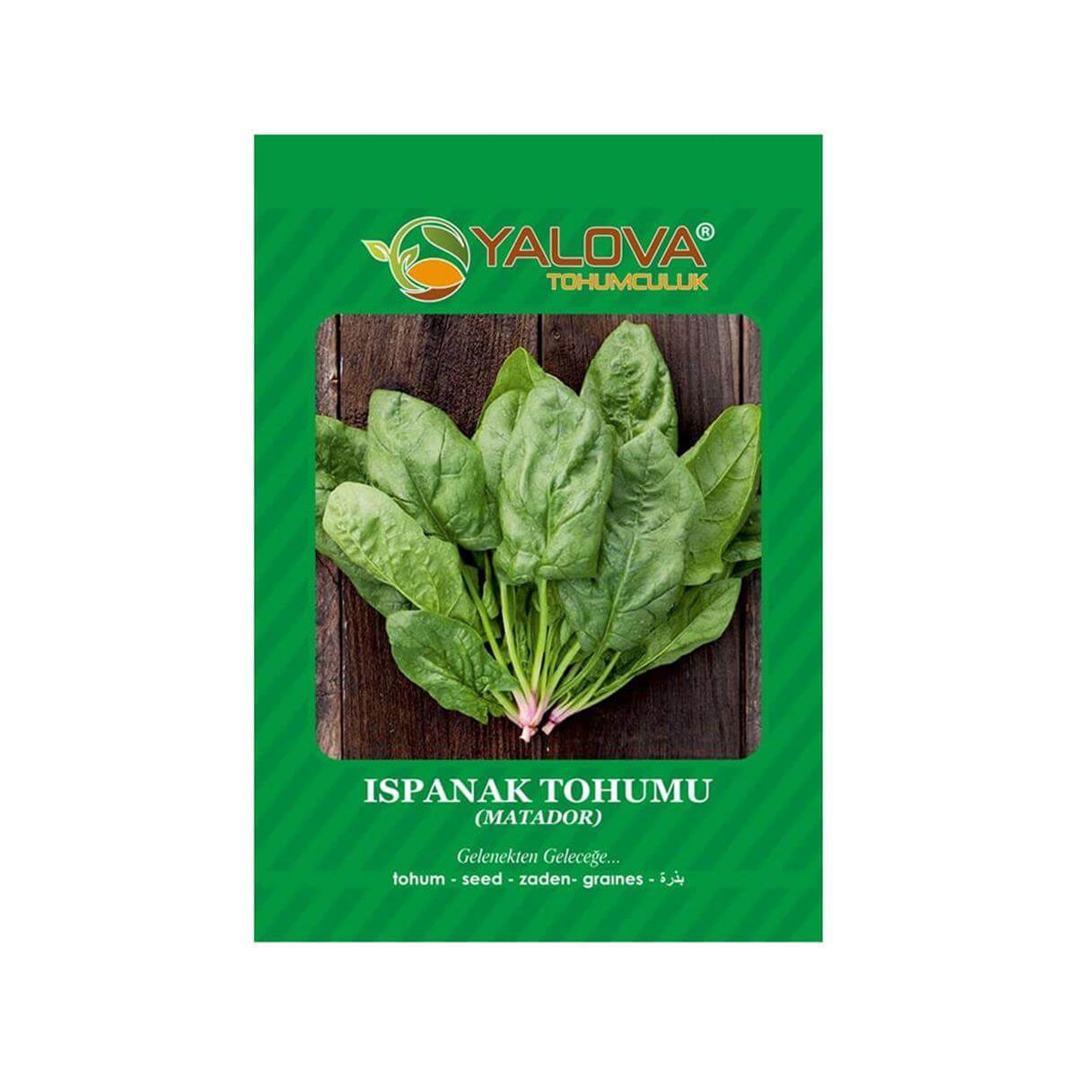 Yalova Ispanak Tohumu (BTK.00985)