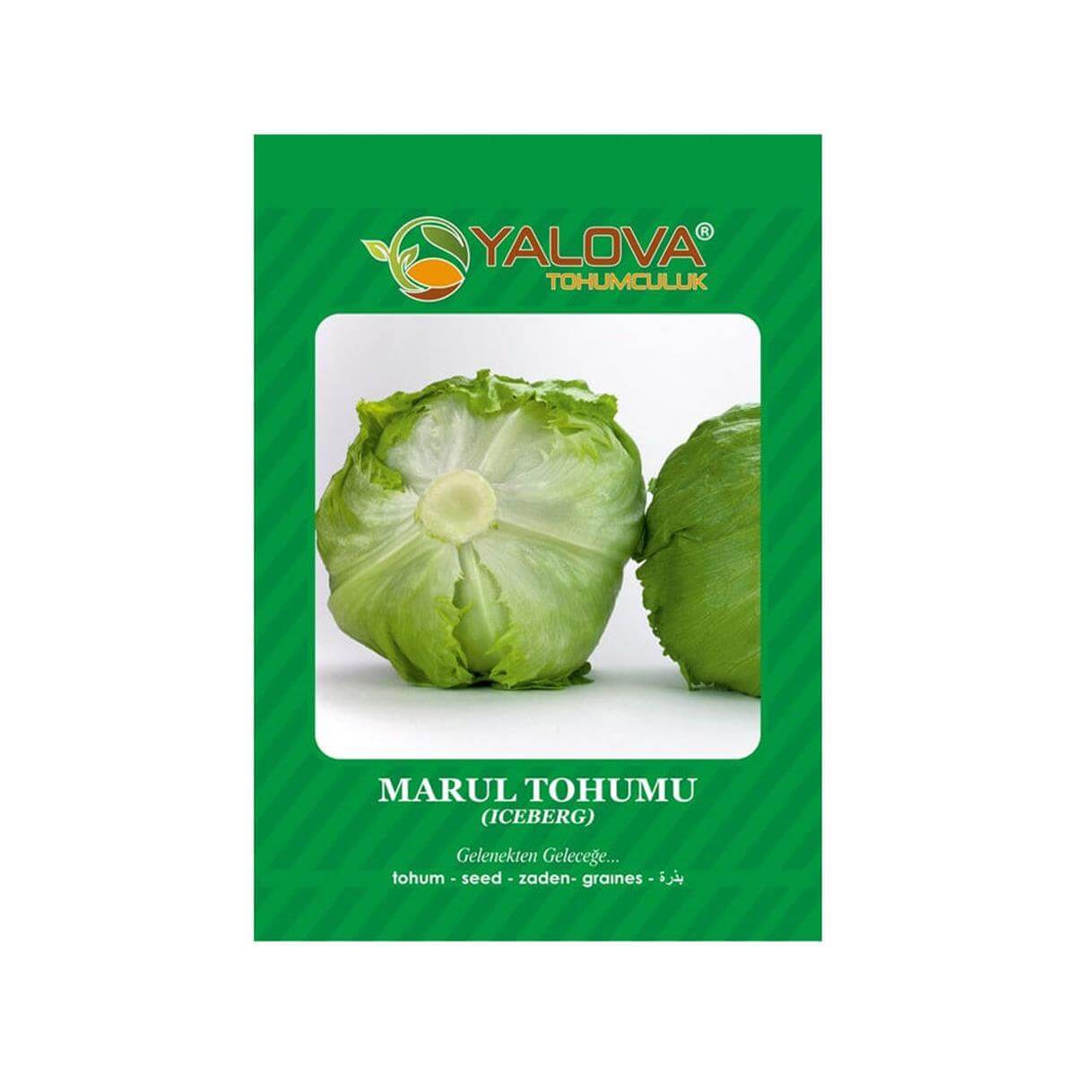 Yalova Göbek Marul Tohumu (BTK.00978)