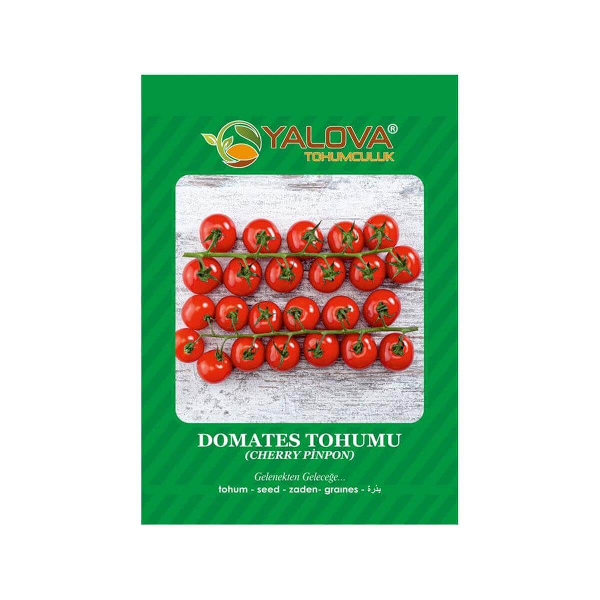 Yalova Çeri Domates Tohumu (BTK.01142)