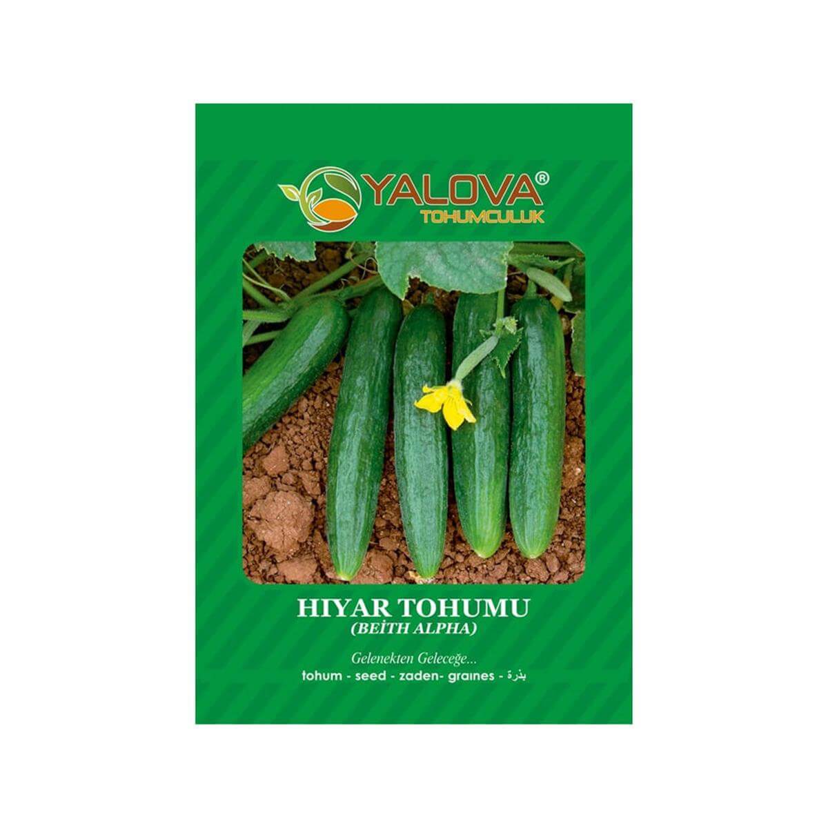 Yalova Hıyar Beith Alpha Tohumu (BTK.01111)