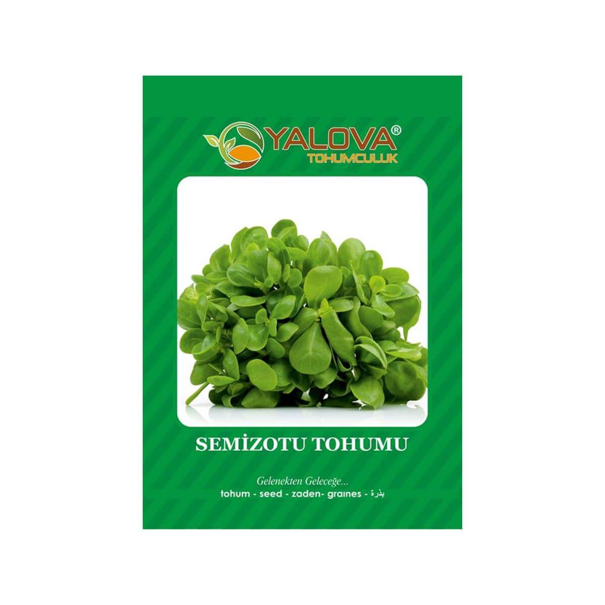 Yalova Semizotu Tohumu (BTK.01050)