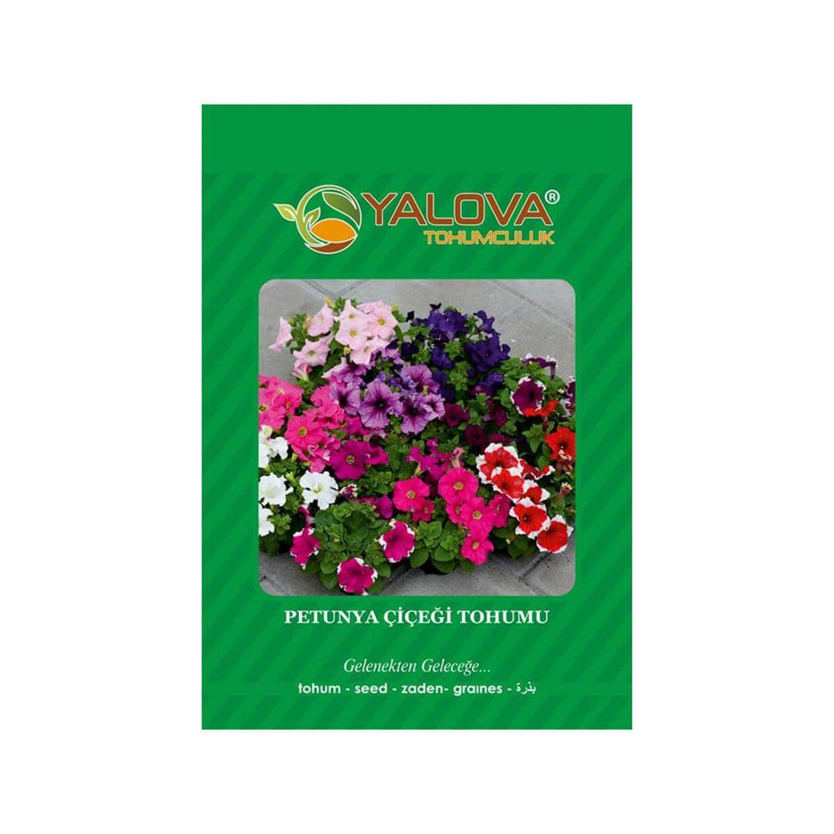 Yalova Petunha Çiçeği Tohumu (BTK.00084)