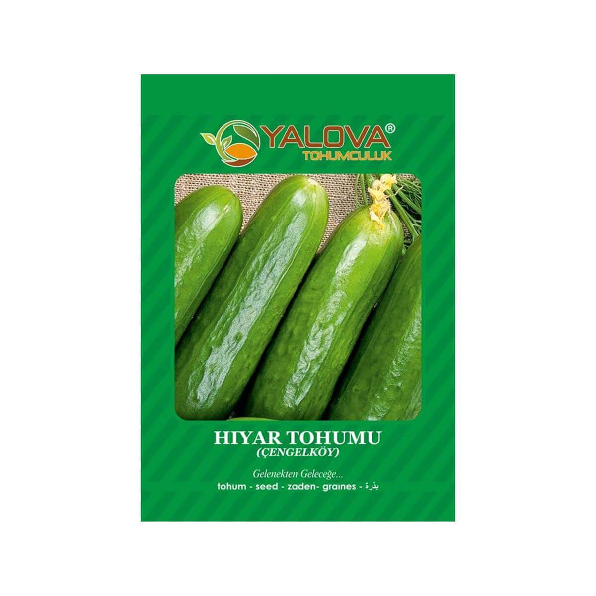 Yalova Çengelköy Hıyarı Tohumu (BTK.01104)