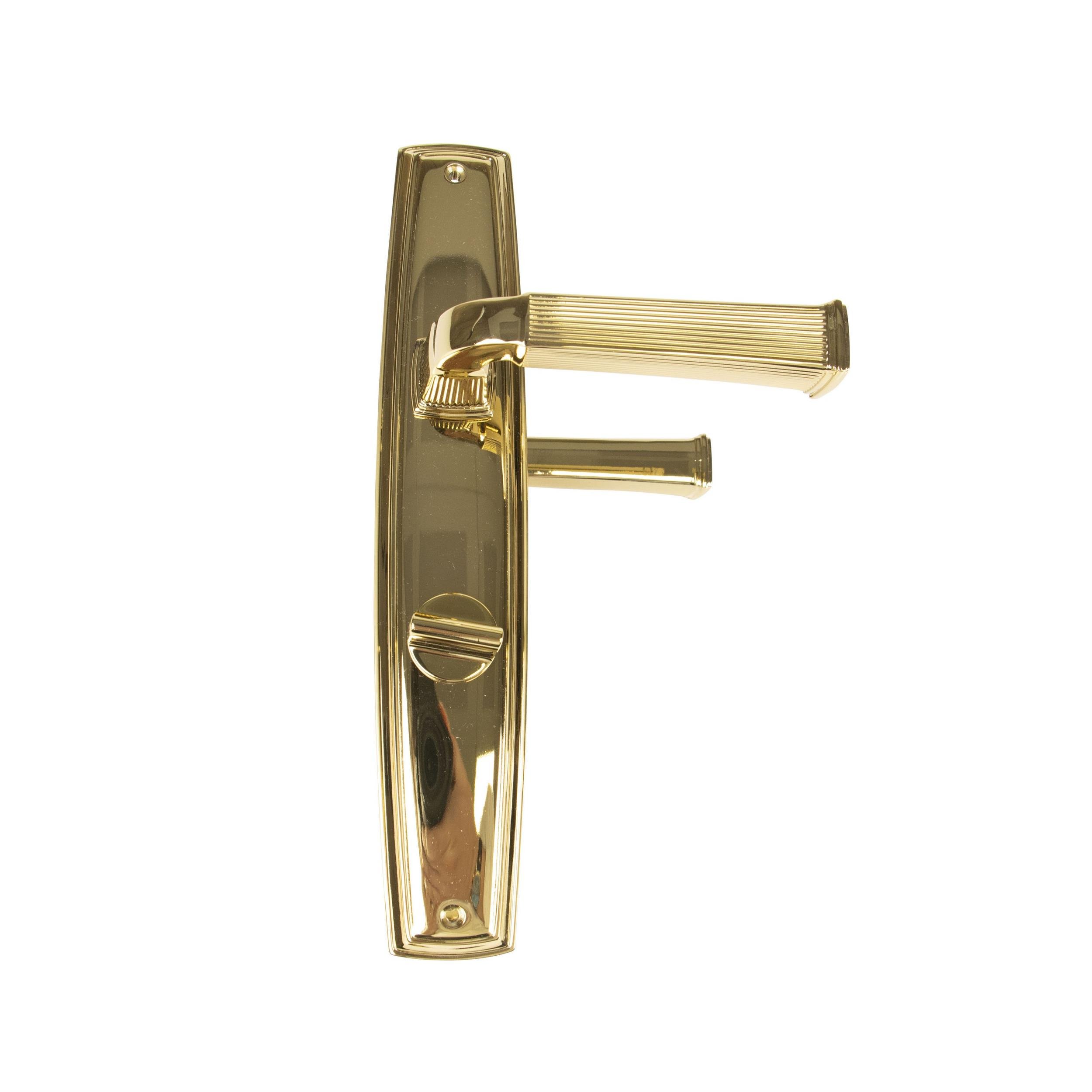 System Altın Astoria Aynalı Banyo Kapı Kolu (HA133PL13W GL)