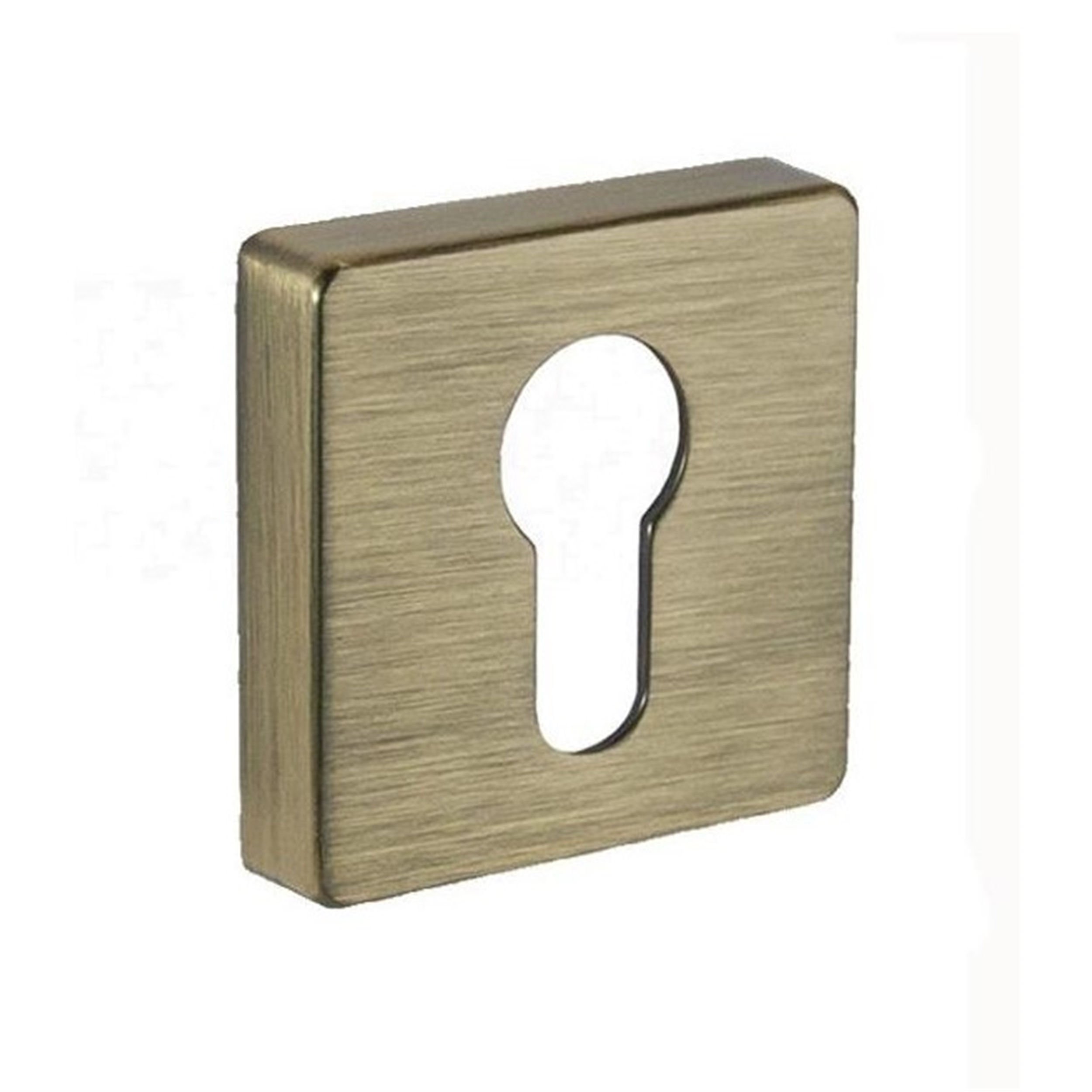 System Antik Saten Mat Plus Yale Kapı Rozeti (RO11Y ABM)