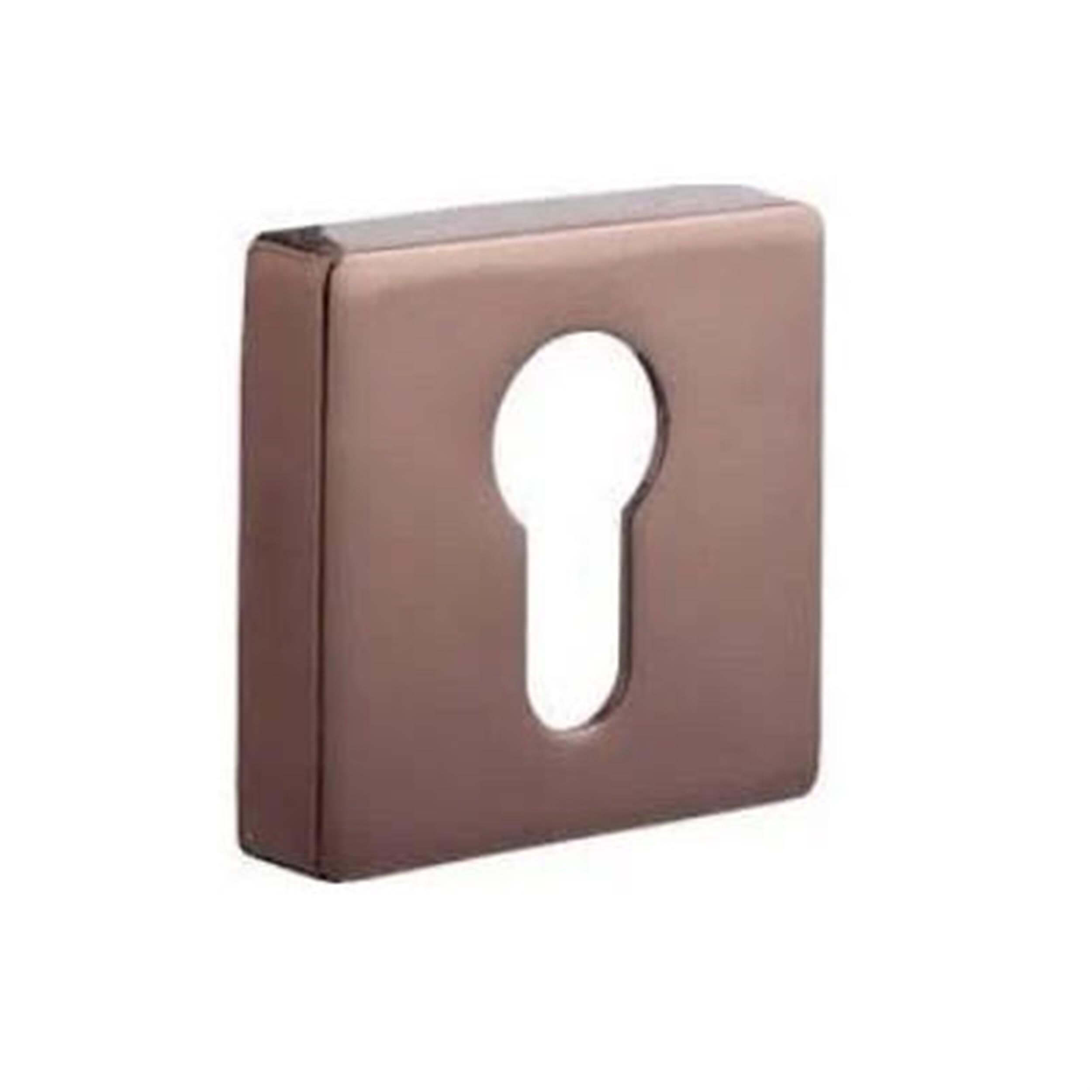 System Rose Yale Kapı Rozeti (RO11Y RS)