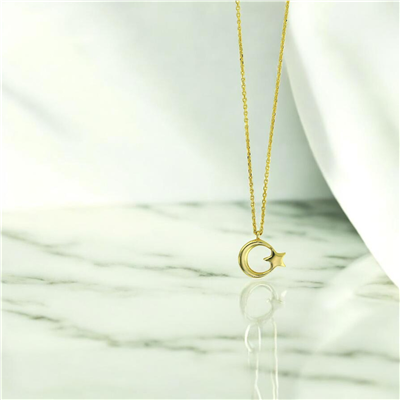 14 Ayar Altın Ayyıldız Kolye  -  0208474