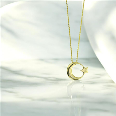 14 Ayar Altın Ayyıldız Kolye  -  0208488