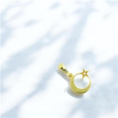 14 Ayar Altın Ayyıldız Kolye Ucu  -  0204411