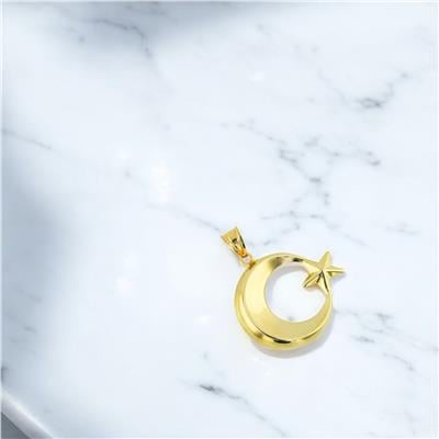 14 Ayar Altın Ayyıldız Kolye Ucu  -  0205150