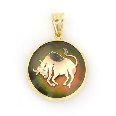 14 Ayar Altın Burç Kolye Ucu  -  0180255