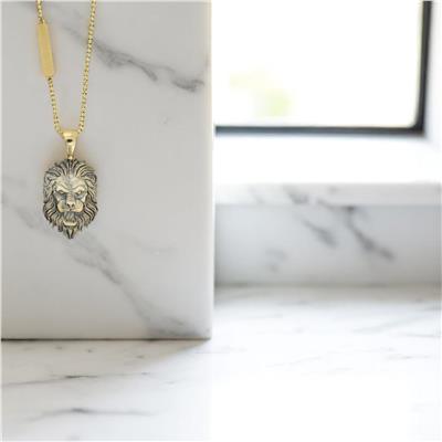 14 Ayar Altın Erkek Kolye  -  0182106