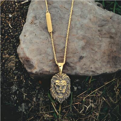 14 Ayar Altın Erkek Kolye  -  0182145