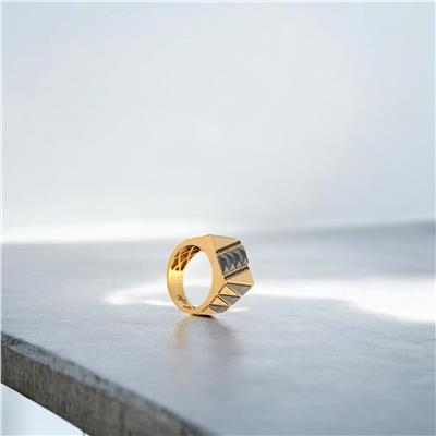 14 Ayar Altın Erkek Yüzük  -  0190616