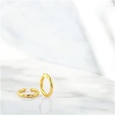 14 Ayar Altın Halka Küpe  -  0191536