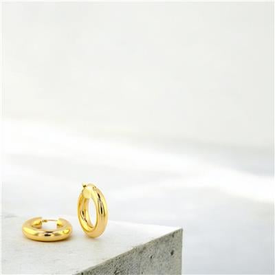 14 Ayar Altın Halka Küpe  -  0191544