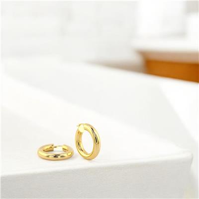 14 Ayar Altın Halka Küpe  -  0191548