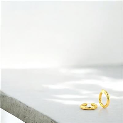 14 Ayar Altın Halka Küpe  -  0191592