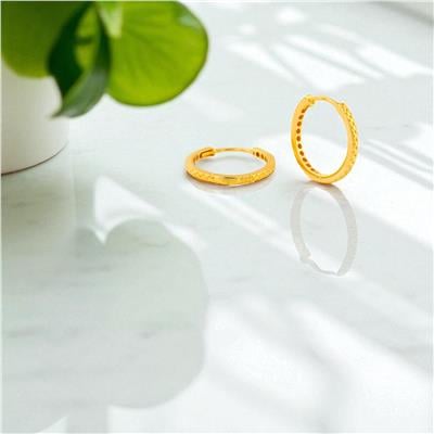 14 Ayar Altın Halka Küpe  -  0194414