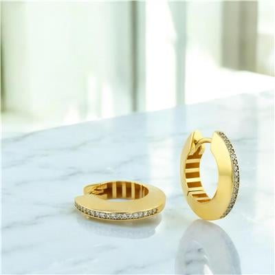 14 Ayar Altın Halka Küpe  -  0204341