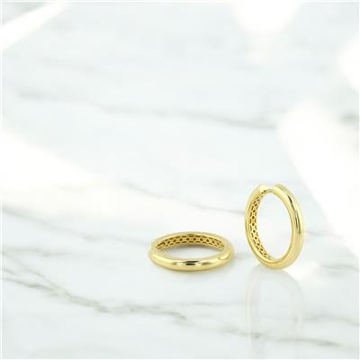 14 Ayar Altın Halka Küpe  -  0205182