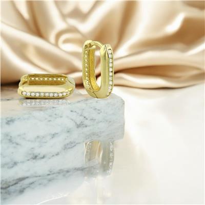 14 Ayar Altın Halka Küpe  -  F004833