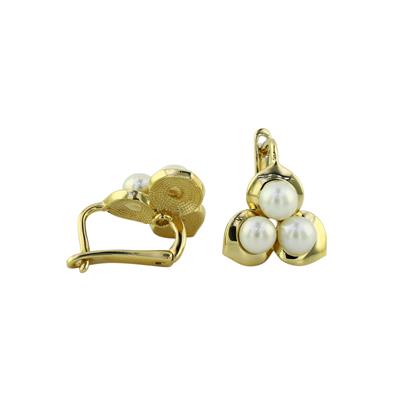 14 Ayar Altın İncili Küpe  -  0197146