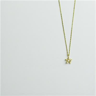 14 Ayar Altın Kartaneli Kolye  -  0194863