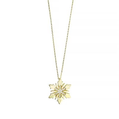 14 Ayar Altın Kartaneli Kolye  -  0201274