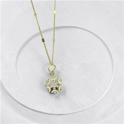 14 Ayar Altın Kartaneli Kolye  -  0205468