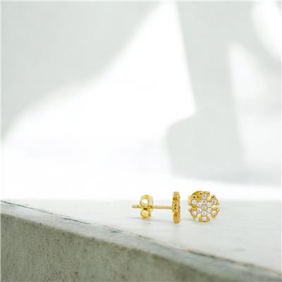 14 Ayar Altın Kartaneli Küpe  -  0190825