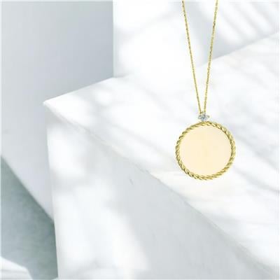 14 Ayar Altın Plaka Kolye  -  0205082