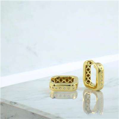 14 Ayar Altın Tasarım Küpe  -  0194690