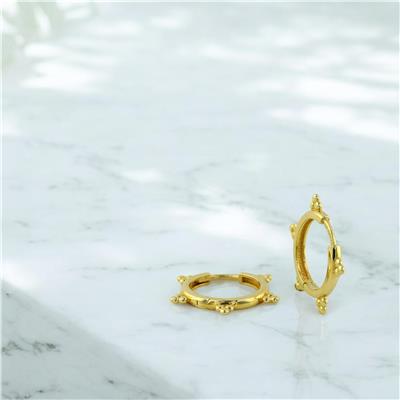 14 Ayar Altın Tasarım Küpe  -  0194718