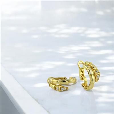 14 Ayar Altın Tasarım Küpe  -  0194781