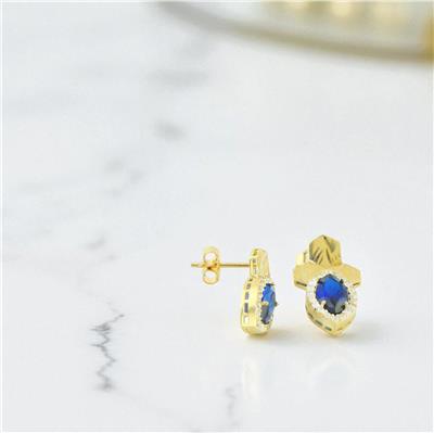 14 Ayar Altın Tasarım Küpe  -  0196795