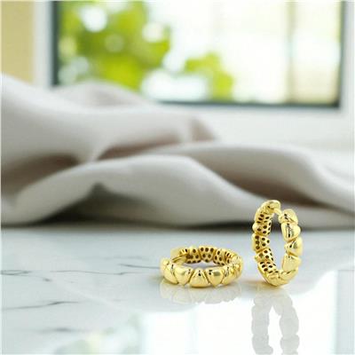 14 Ayar Altın Tasarım Küpe  -  0197064