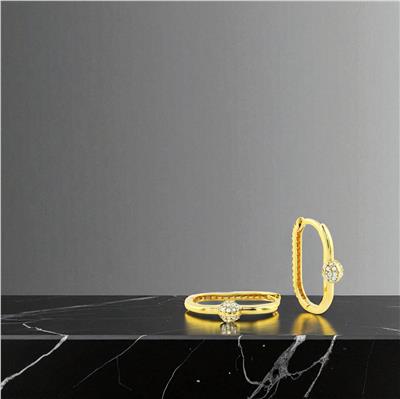 14 Ayar Altın Tasarım Küpe  -  0197097