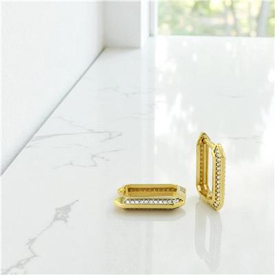 14 Ayar Altın Tasarım Küpe  -  0197104