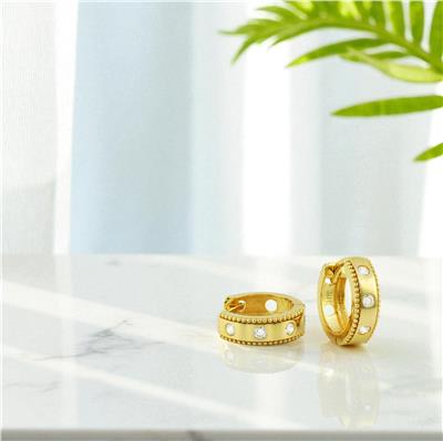 14 Ayar Altın Tasarım Küpe  -  0197945