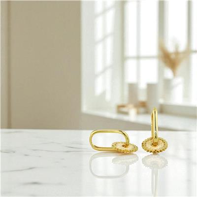 14 Ayar Altın Tasarım Küpe  -  0197955