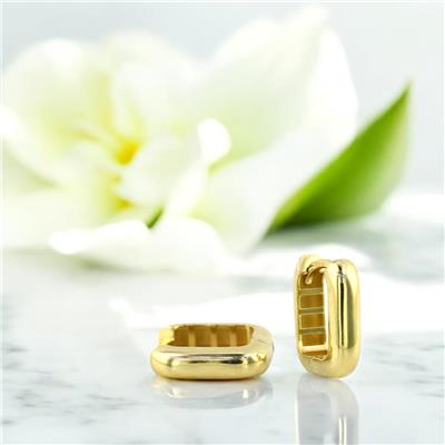 14 Ayar Altın Tasarım Küpe  -  0200848