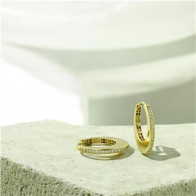 14 Ayar Altın Tasarım Küpe  -  0202576