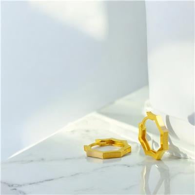 14 Ayar Altın Tasarım Küpe  -  0202692