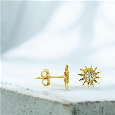 14 Ayar Altın Tasarım Küpe  -  0204385