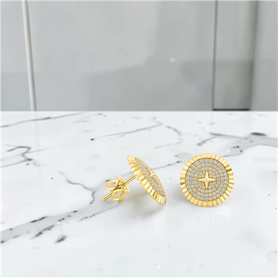 14 Ayar Altın Tasarım Küpe  -  0214487